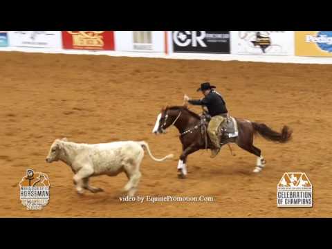 Brother Jackson ridden by Ken L. Wold  - 2016 NRCHA Celebration of Champions (Cow Work - WGH)