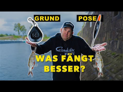 Grund- oder Posenmontage? Raubfischangeln mit Köderfisch im Hafen 🎣