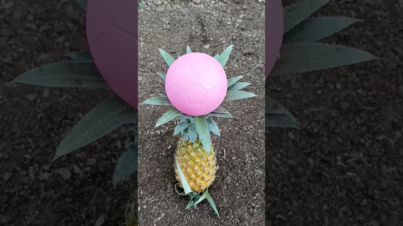 triple small red egg #egg #eggs #fruit #fruits