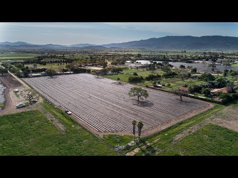 2149 Edison Street | Santa Ynez - The Agency