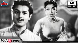 Download lagu शोभा खोटे और अनंत कुमार का हिंदी गीत तड़पाओगे तड़पा लो | Tadpaoge Tadpa Lo Classic Hindi Song mp3