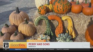 Perry and Sons - Manteca