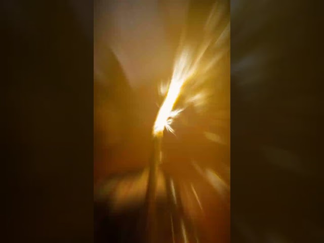 Vídeo relacionado con Edición limitada 2004 Happy Birthday Celebration Coleccionable Sudadera