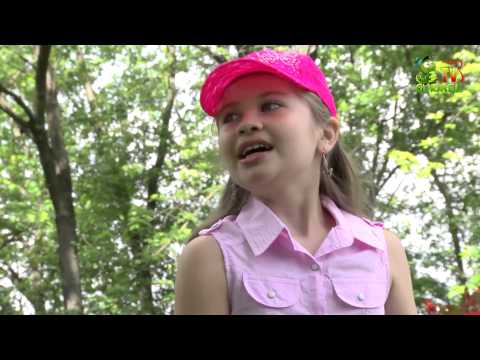 Mihaela Bologan - In voiaj vom pleca