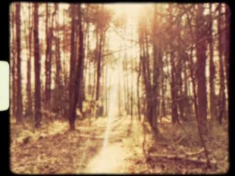 Hauptman - Sometimes