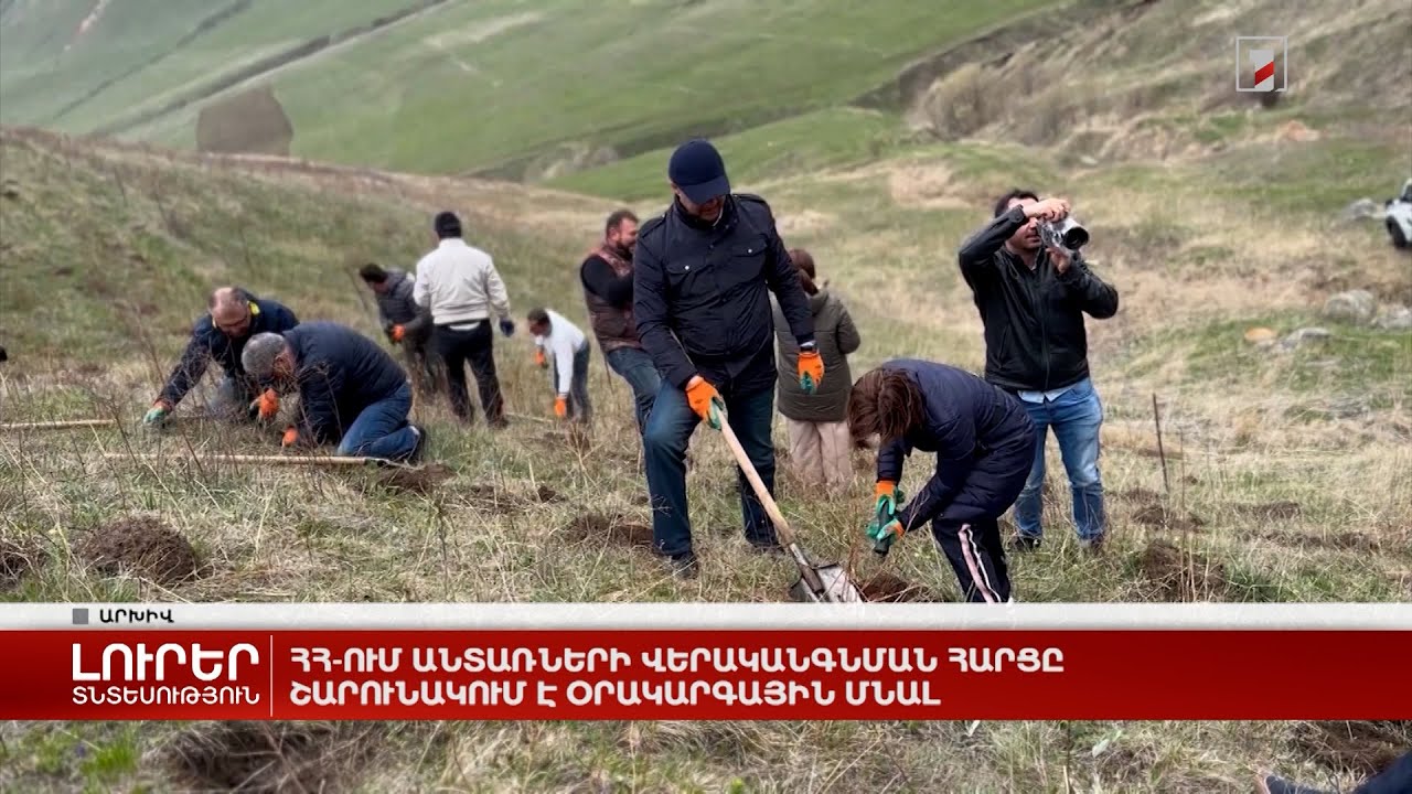 ՀՀ-ում անտառների վերականգնման հարցը շարունակում է օրակարգային մնալ