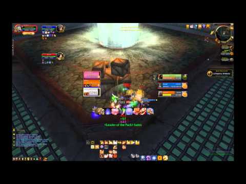 PPF vs Jungle Cleave