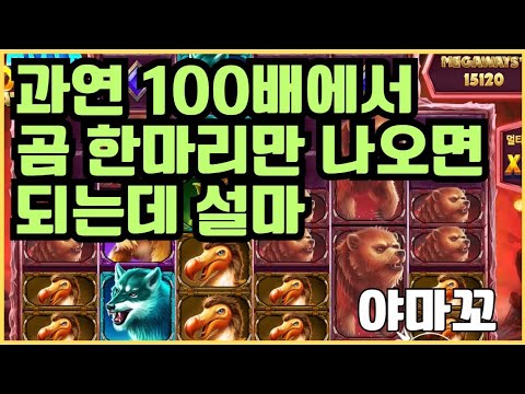 [슬롯][제보영상][닉네임:야마꼬]맘모스 530배