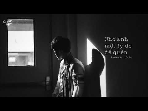 [Vietsub + Pinyin] Cho anh một lý do để quên - Vương Cự Tinh (给我一个理由忘记 - 王巨星)