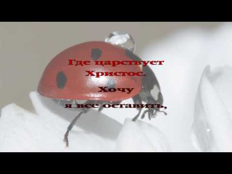 288 Куда теперь идти мне?