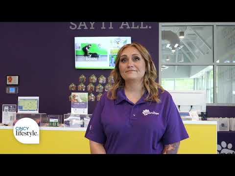 Petsuites Roswell Reviews