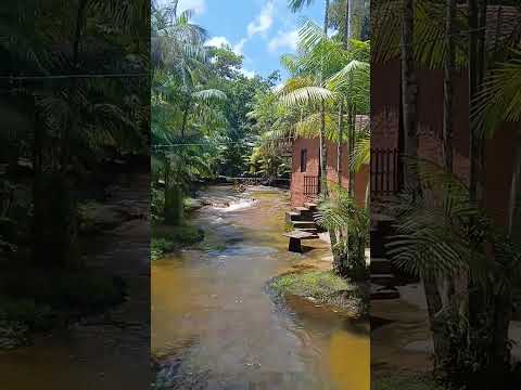 Cachoeira do Apolônio em São Miguel do GUAMÁ 