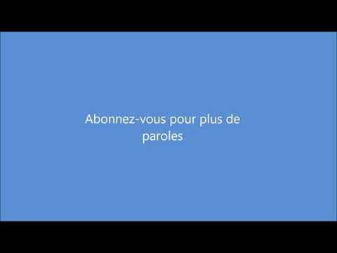 Vegedream - tu m'as menti (parole)