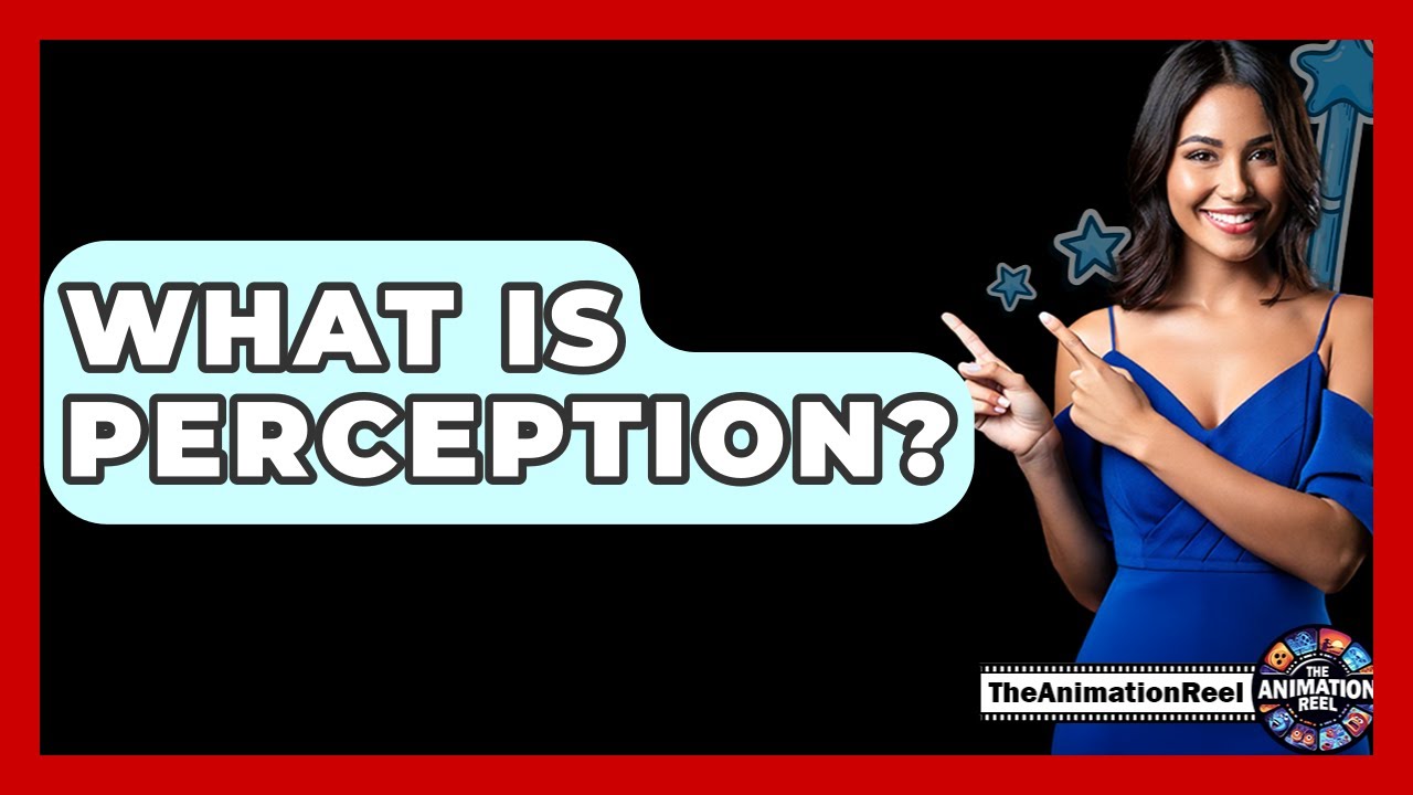 What Is Perception? - The Animation Reel