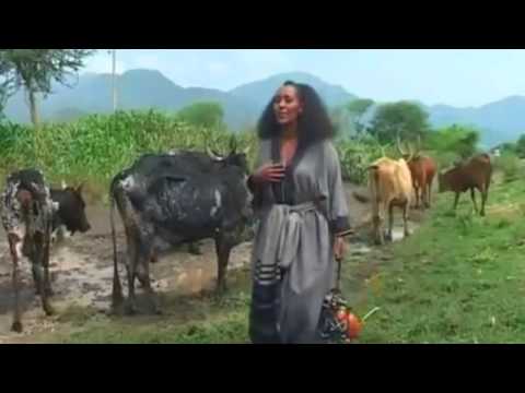 Zafu Kiros  New Tigrigna Tradtional Song   አሸንዳ