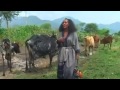 Zafu Kiros New Tigrigna Tradtional Song አሸንዳ