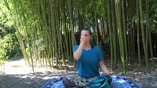La respiration alternée : Nâdî Shoddhana