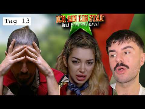 So verletzt zurückzukommen: PURER EGOISMUS! | Tag 13, Dschungelcamp 2026