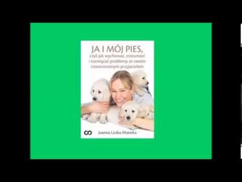Ja i mój pies, czyli jak wychować, zrozumieć i rozwiązać problemy  - ebook