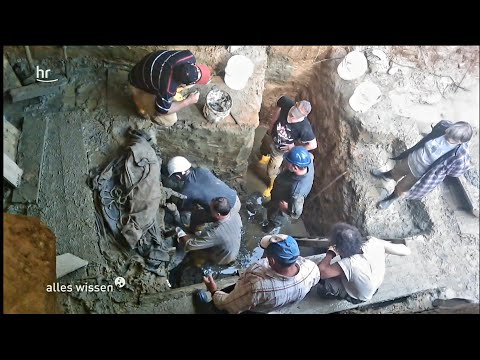 SCHATZSUCHE (SONDELN) IN HESSEN-Wem gehört der Schatz? Dem Finder, dem Grundbesitzer, Land Hessen?