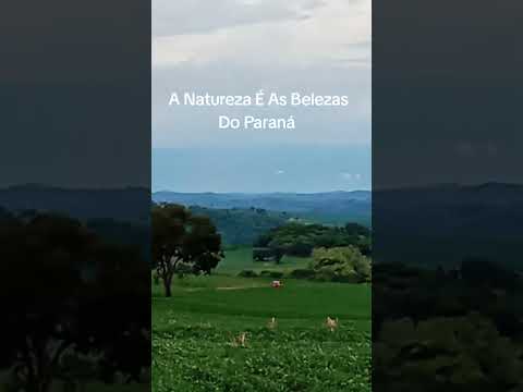 Linda Natureza Do Meu Paraná Destrito De São João D Ivaí