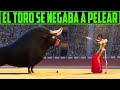 EL TORO QUE NO DESEA LUCHAR - FERDINAND RESUMEN EN 14 minutos