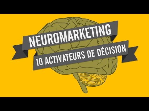 NEUROMARKETING 3 CERVEAUX À CONVAINCRE