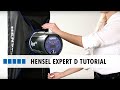 Hensel Expert D Compact Flash // A Quick Tutorial