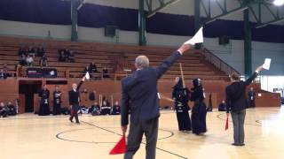 Kasahara Kendo Cup 2014 team competition Final: Swiss Team vs BUDO XI