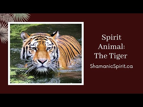 Animal Spirit Guide: The Tiger (Shamanic Power Animal). Tiger Symbolism