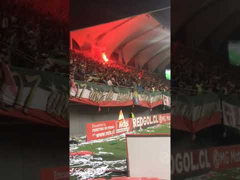 "Dicen que estamos mal de la cabeza" Barra: Los Tanos &bull; Club: Audax Italiano
