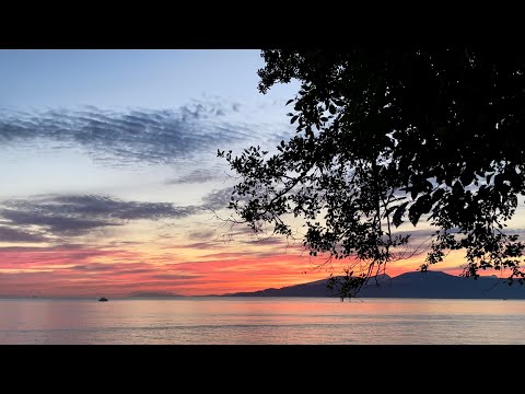 Vancouver｜20210704｜00000484