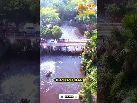 FERNANDO FALCÃO-MA | CONHEÇA O FAMOSO RIO ALPERCATAS 🌊