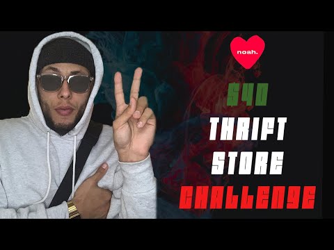 $40 THRIFT STORE CHALLENGE !!