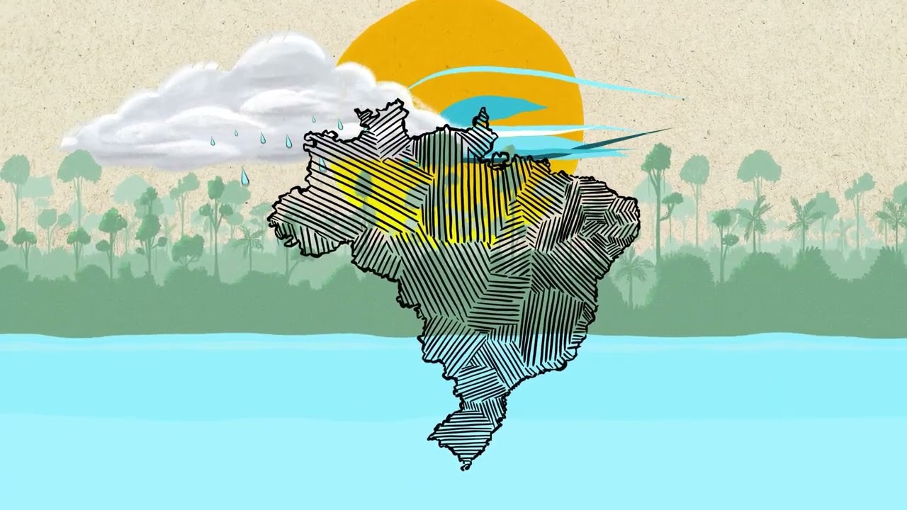 Processos Ecológicos da Amazônia | Amazônia Sustentável e Produtiva