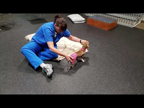 Anna Grace gaining leg strength