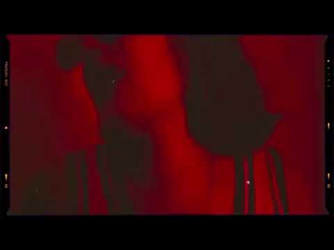 pio pio - MadNad ( OFFICIAL MUSIC VIDEO)