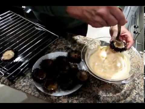 comment ouvrir oursin