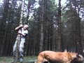 Tree Hug