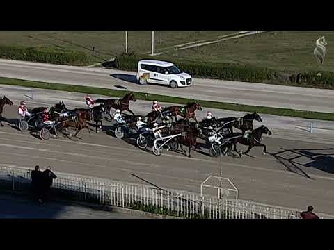 Aversa trotto 19 Gennaio 2022 - 1° Corsa