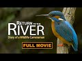 Discover The Amazing Nature Of A River Full Documentary