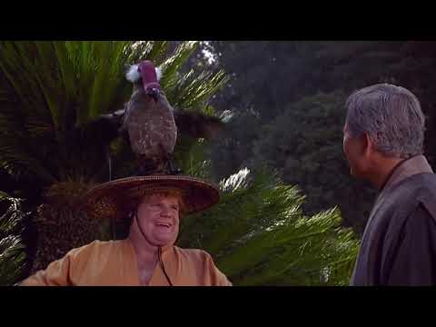 Beverly Hills Ninja Funny opening scene