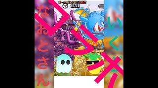 なおとさんと行くタッグトロスタ