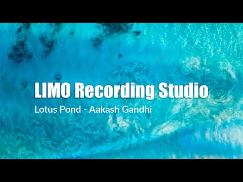 Aakash Gandhi - Lotus Pond (No Copyright Music)