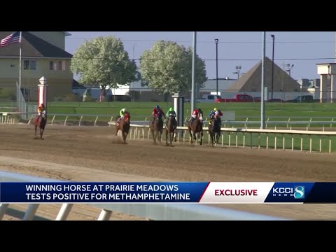 Prairie Meadows racehorse tests positive for meth