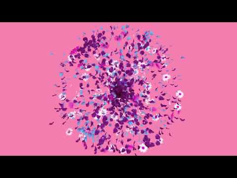 4K HD Free Video: Floral Burst on Purple Background - Stunning Nature Animation