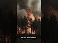 Spokane Fires: The Two-Week Wildfire Plan Investigators Found