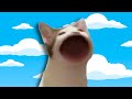 Best Memes Of The Year 2020