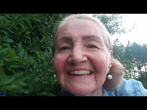 Schlehen nicht im Sommer ernten!