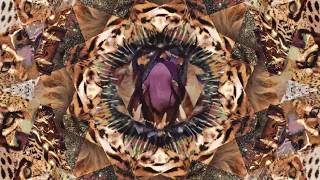 Shabazz Palaces - #CAKE (Animal Collective Premature Deflirt Mix) [not the video]